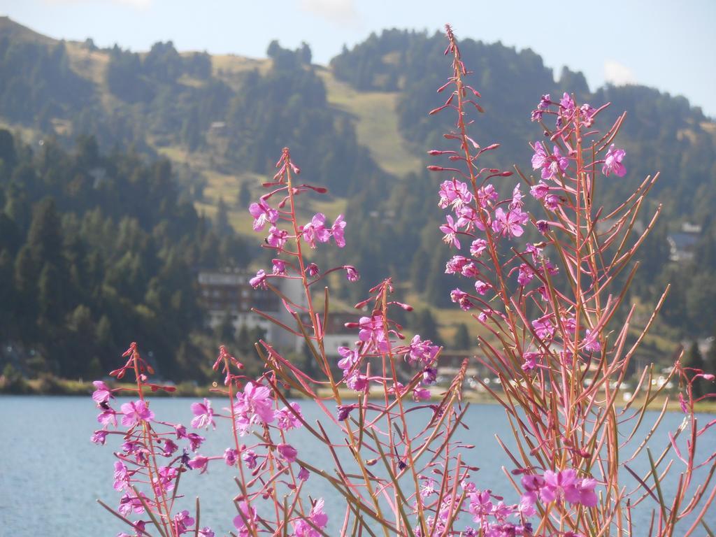 Sundance Mountain Resort Turracher Hohe Zewnętrze zdjęcie